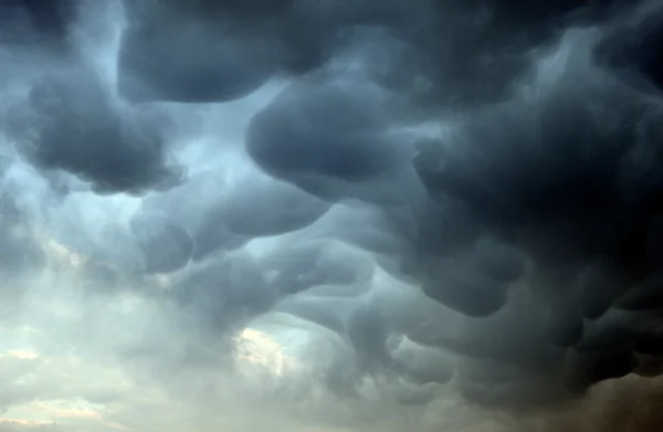 Adobestock 587236090