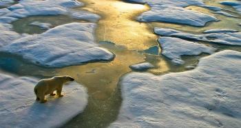 Philanthropy and impact investing for climate – Trends in Hong Kong and Asia